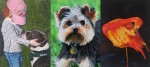 Donna Young | San Diego watercolor artist specializing in pet portraits